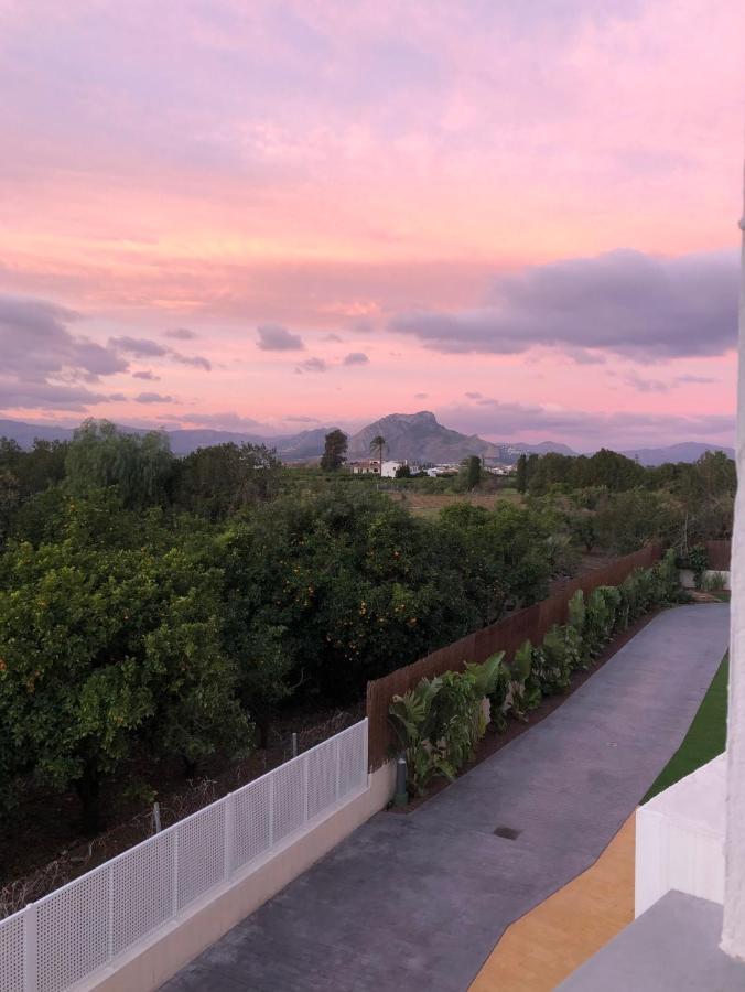 Sunny Apartment In Denia With Outdoor Swimming Pool And Garage Parking Place Included, 300M From The Sandy Beach Zewnętrze zdjęcie